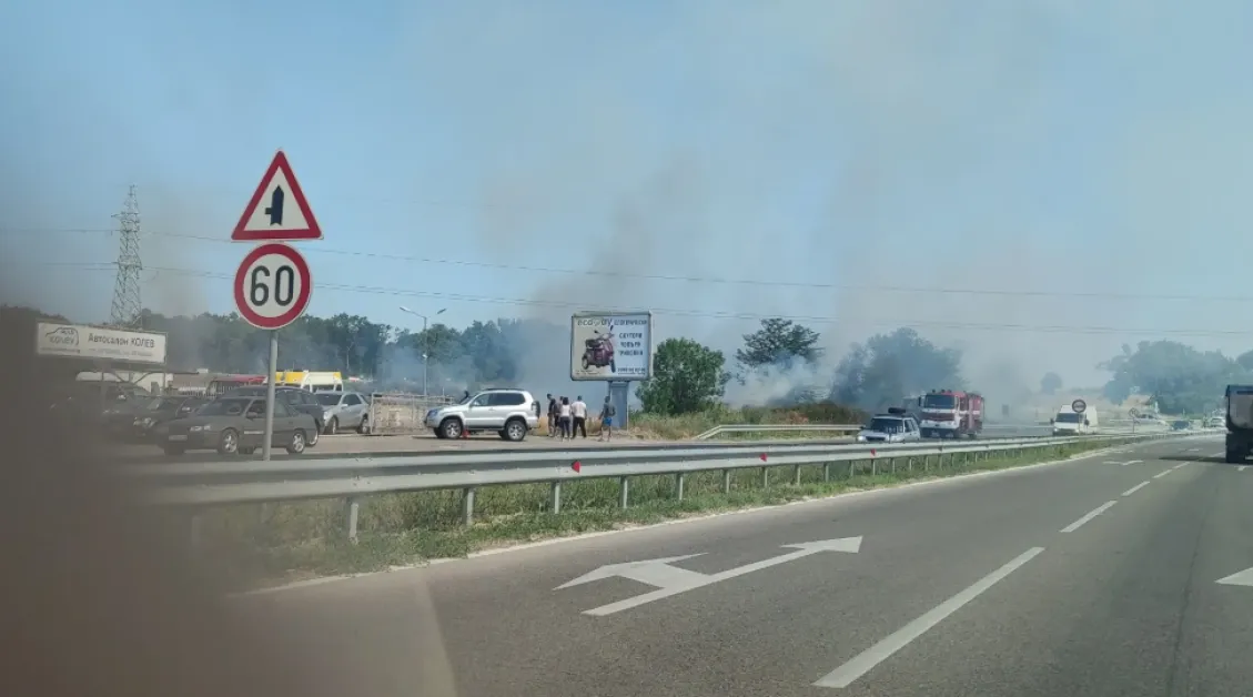 Ясна е причината за пожара край Димитровград