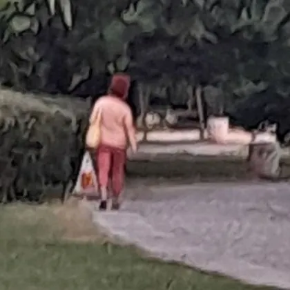 Пловдивчанка алармира за възмутителна случка в Ротари парк в града