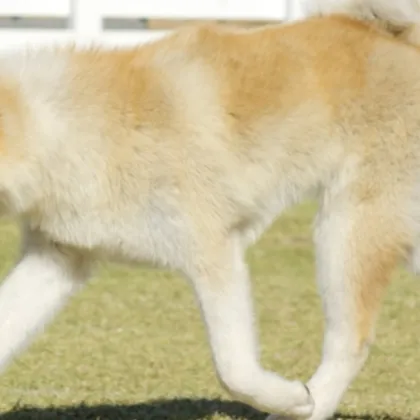 В петък по обяд в полицията в Стамболийски постъпила информация