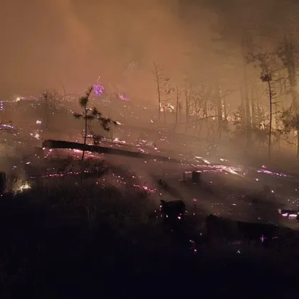 Пожар гори в труднодостъпен район над Струмяни в Благоевградско Пожарът е