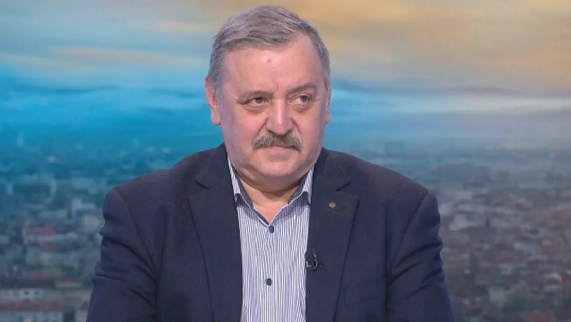 Проф. Кандарджиев: При лайшманиозата се слабее, далакът се увеличава