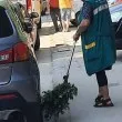 „Метлата на баба Яга" – патентовано българско ноу-хау за градска чистота