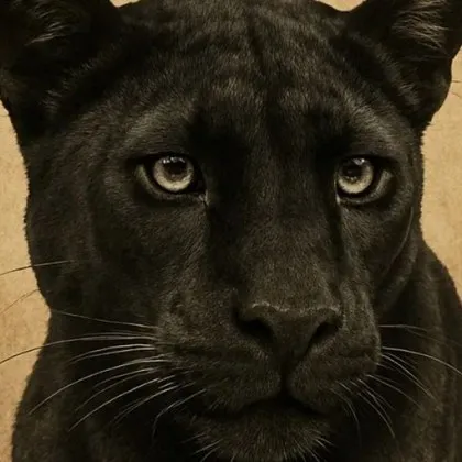 Тази сутрин в района на стеснения периметър за работа на