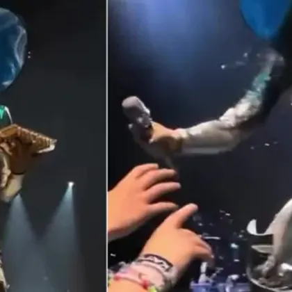 Американската певица Кейти Пери предизвика възмущение сред феновете по време на