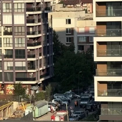 Викове Кръв Разкъсана плът Изстрел И дълго пронизително скимтене Така