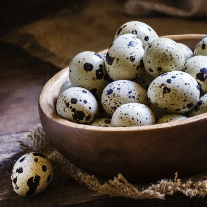Пъдпъдъчите яйца са малки но богати на хранителни вещества Те