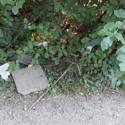 Жителка на столичния квартал Мусагеница отправи в социалната мрежа Facebook емоционален