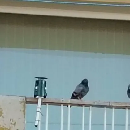 На пръв поглед всичко изглежда спокойно на бул България №