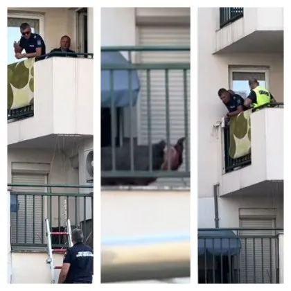 Не и кучето Не и този път Защото този път ноктите не издаваха