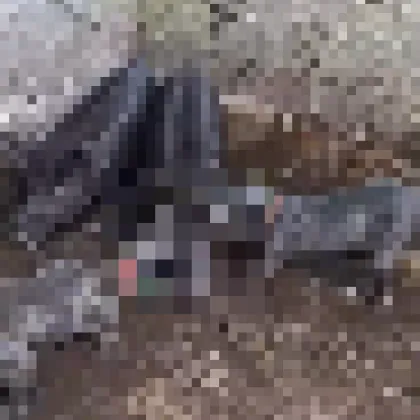 Гневна вълна от реакции заля социалните мрежи след като мъж