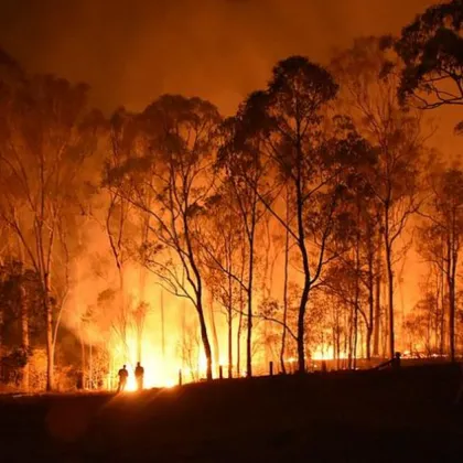 Горски пожар е избухнал в планинска местност до село Йомероба