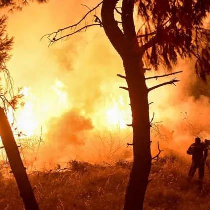 Горски пожар избухна този следобед в района на Палеа Фокея в