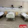 Разкриха какво е състоянието на мъжете, нахапани от питбула Зевс в София