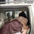 Шофьор скри тайландки с багаж, опита да мине границата СНИМКИ