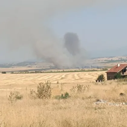 Пожар гори в този момент в Пазарджишко Огънят е пламнал