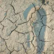 Климатолог: Отиваме към суша и все по-трудно ще идва водата