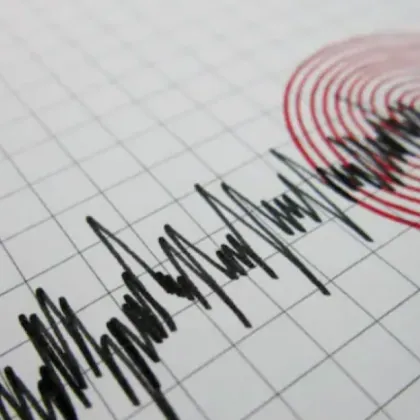 Земетресение с магнитуд 6 1 по Рихтер е регистрирано на остров