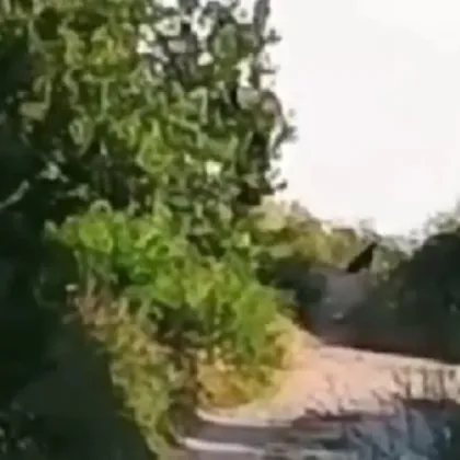 Въведените ограничителни мерки в района на природен парк Шуменско плато отпадат след