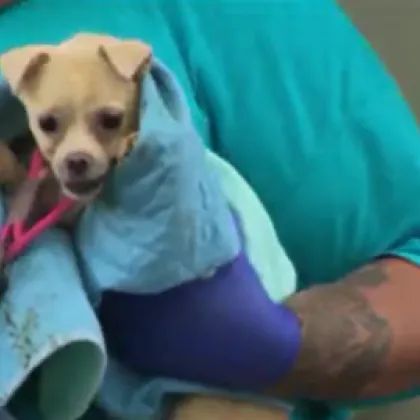 73 годишна жена беше намерена мъртва в дома си в квартал