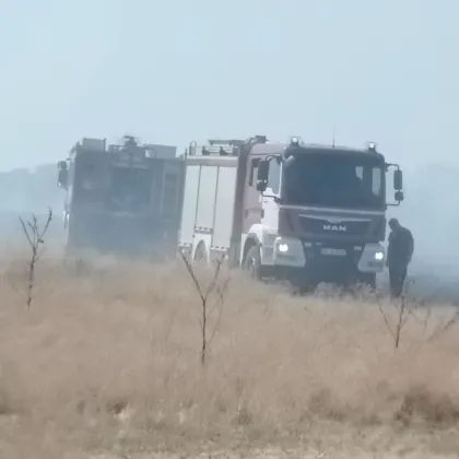През последното денонощие пожарникари и спасители от РДПБЗН Пловдив реагираха на