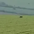 Обмислят дали да се пусне системата BG Alert и в Разградско