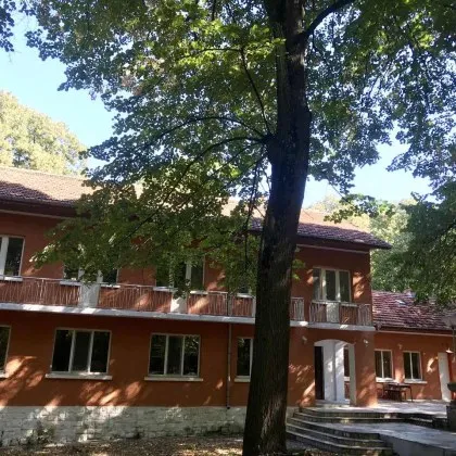 Близките на възрастните хора от хосписа Царица Йоанна в русенското