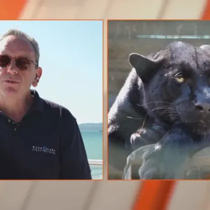 Имаме чувството че живеем в страна която мачка гони и