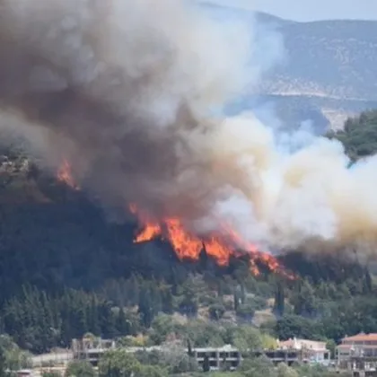 Мащабен горски пожар се е разразил в труднодостъпна местност в