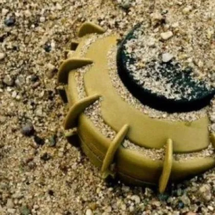 Отавската конвенция ратифицирана от Украйна през 2005 г забранява на