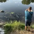 Мъртва риба изплува от река Марица