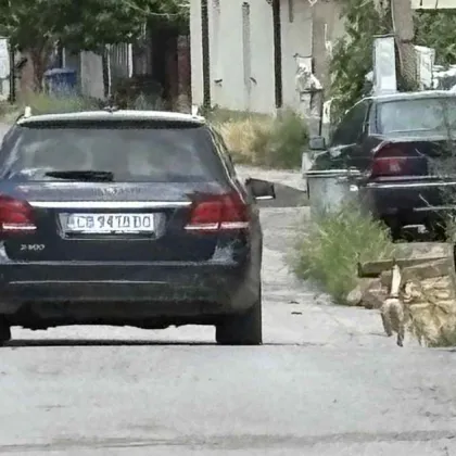 Сърцераздирателна гледка край 26 о СОУ Йордан Йовков в София развълнува