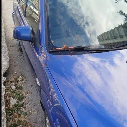 Поредна проява на хулиганщина беше заснета в Стара Загора Водач