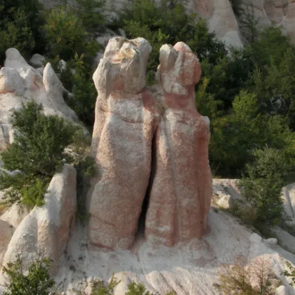 Спасителен екип на пожарната служба в Кърджали помогна за пренасянето на