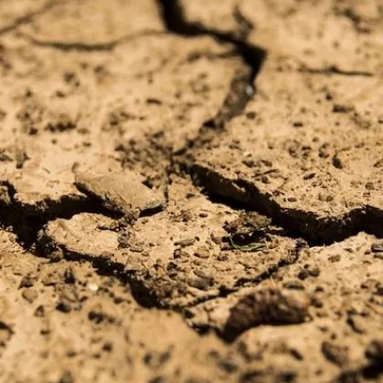 Месец юни 2025 г е по малко топъл от юни 2024