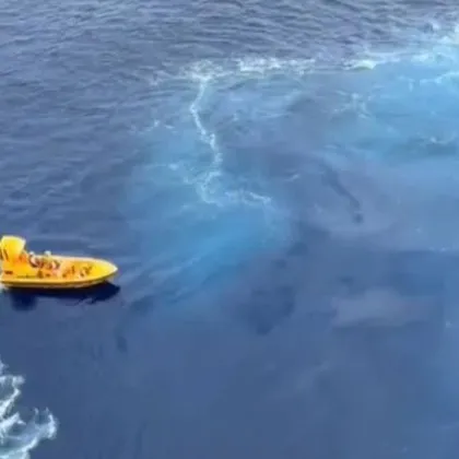 Баща скочи от круизния кораб Disney Dream в Атлантическия океан