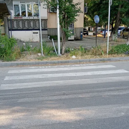 Интересно! Пешеходна пътека в Пазарджик води... в градинка СНИМКА