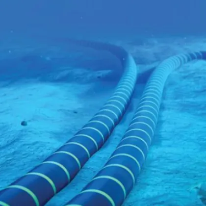 Министърът на отбраната Люк Полард предупреди че опасността от атака