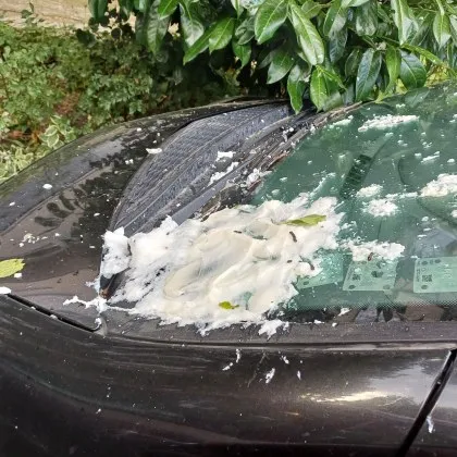 Вандалски акт предизвика възмущение във варненски квартал след като буркан