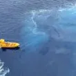 Баща скочи от круизен кораб, за да спаси падналата си дъщеричка ВИДЕО