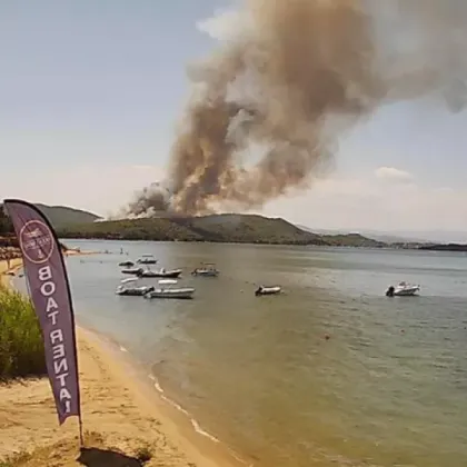 Горски пожар избухна в сряда следобед в гориста местност в