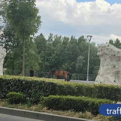 Пловдив отново доказа че е град в който няма скучен