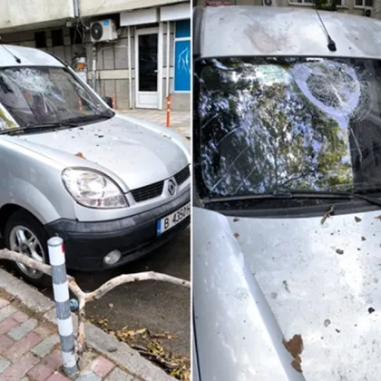 Общината бездейства, природата не прощава: Клон се стовари върху кола във Варна СНИМКИ