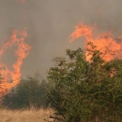 В резултат на нерегламентирано запалване на сухи треви в имот
