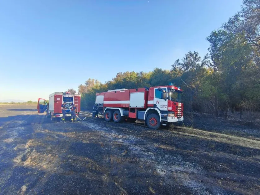 Пожар горя в нива в Пловдивско СНИМКИ