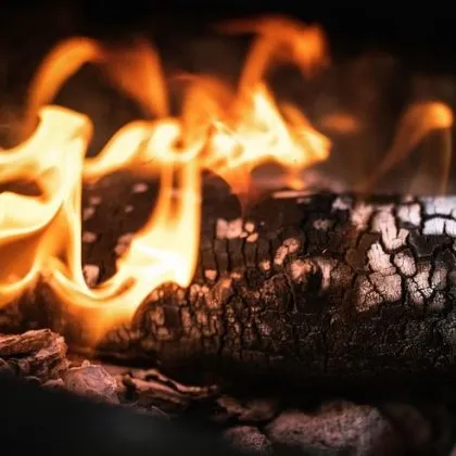 Възрастен човек прикован на легло е станал жертва на горския