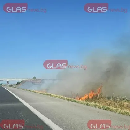 Първа официална инофрмация зa пожара който избухна в нива край
