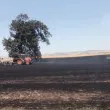 Забележителност на автомагистрала "Тракия" горя при пожара от днес СНИМКА