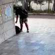 Жена предлага възнаграждение за връщането на открадната раница с техника ВИДЕО