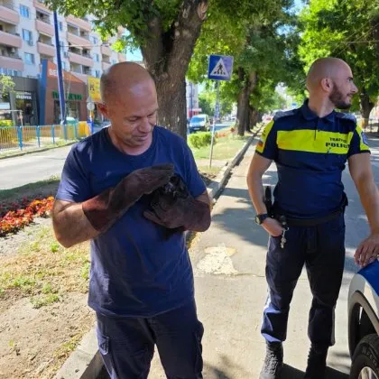 Днес в Пазарджик се разигра необичайна спасителна акция при която