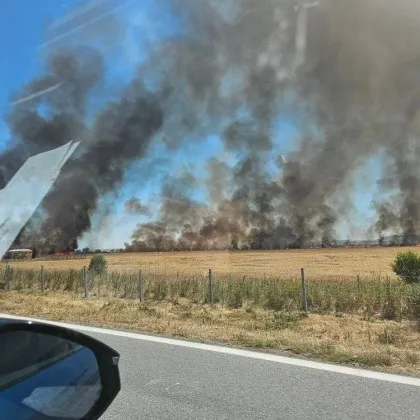 Нов пожар избухна край АМ Тракия днес Стихията е пламнала